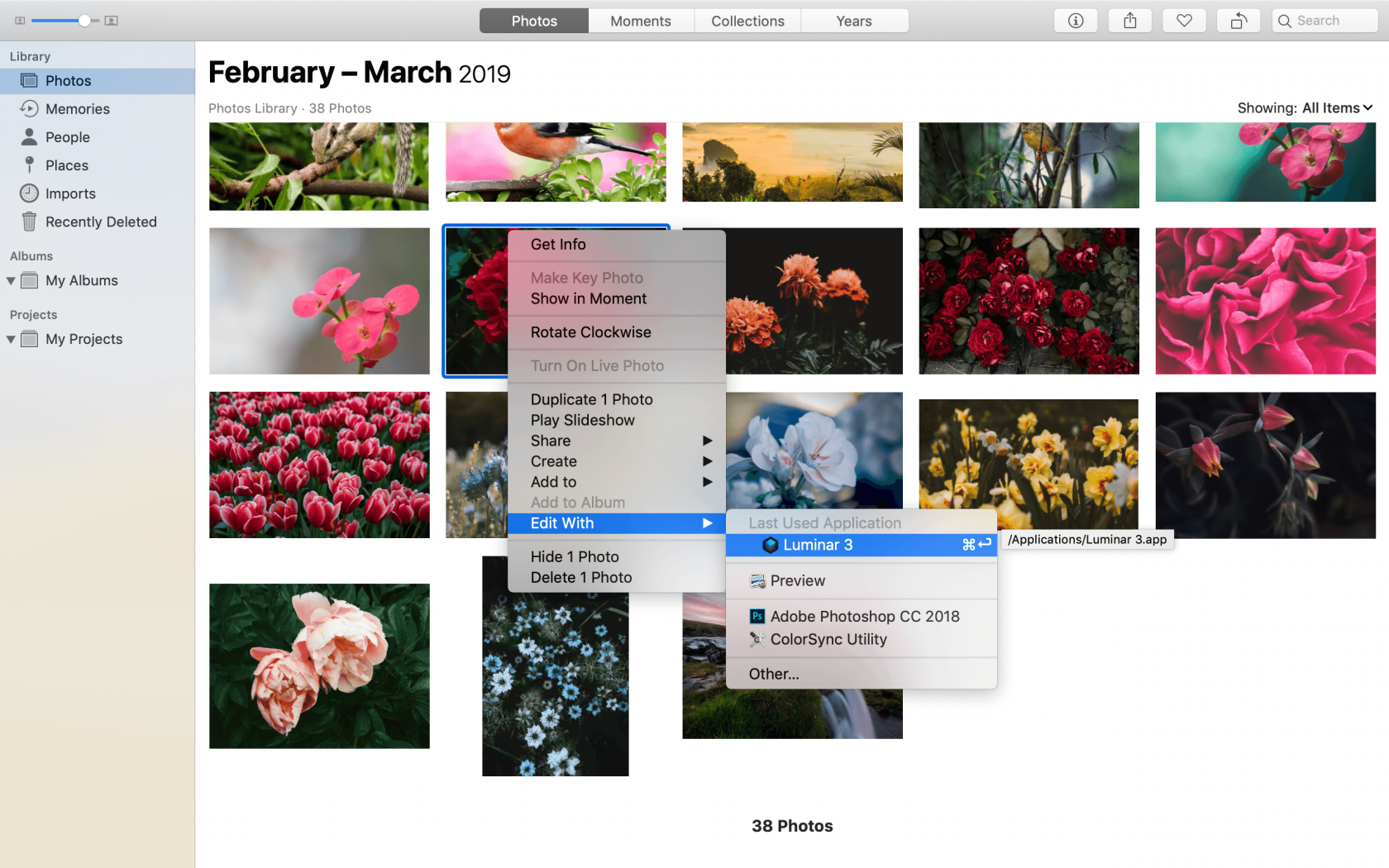 easy simple for dummies slideshow app for mac